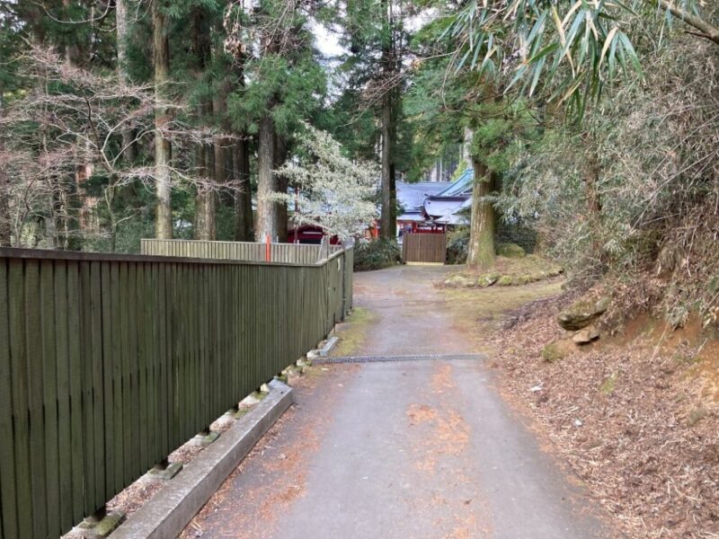 北参道駐車場から箱根神社への道