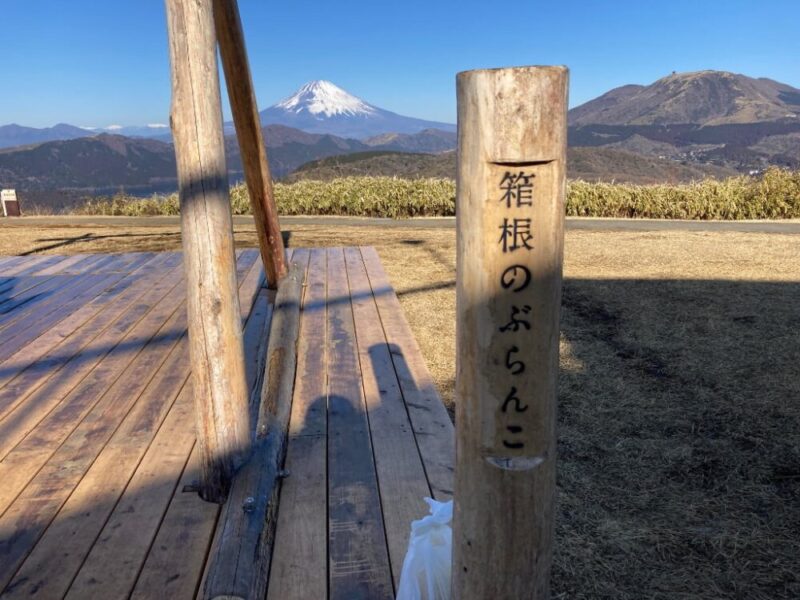 箱根のぶらんこ