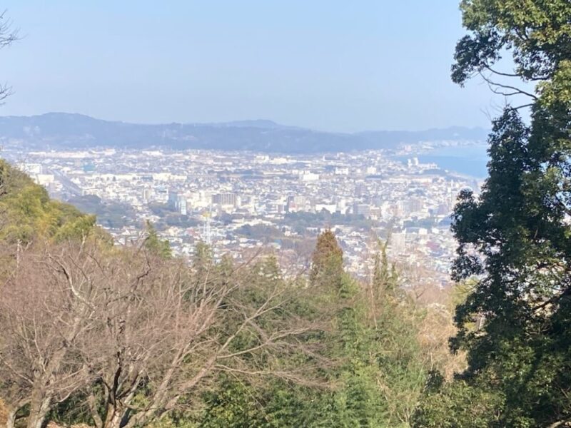 木々から見下ろす街並みと海が見える風景