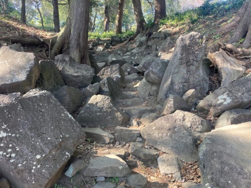 大きな石が散らばる山道